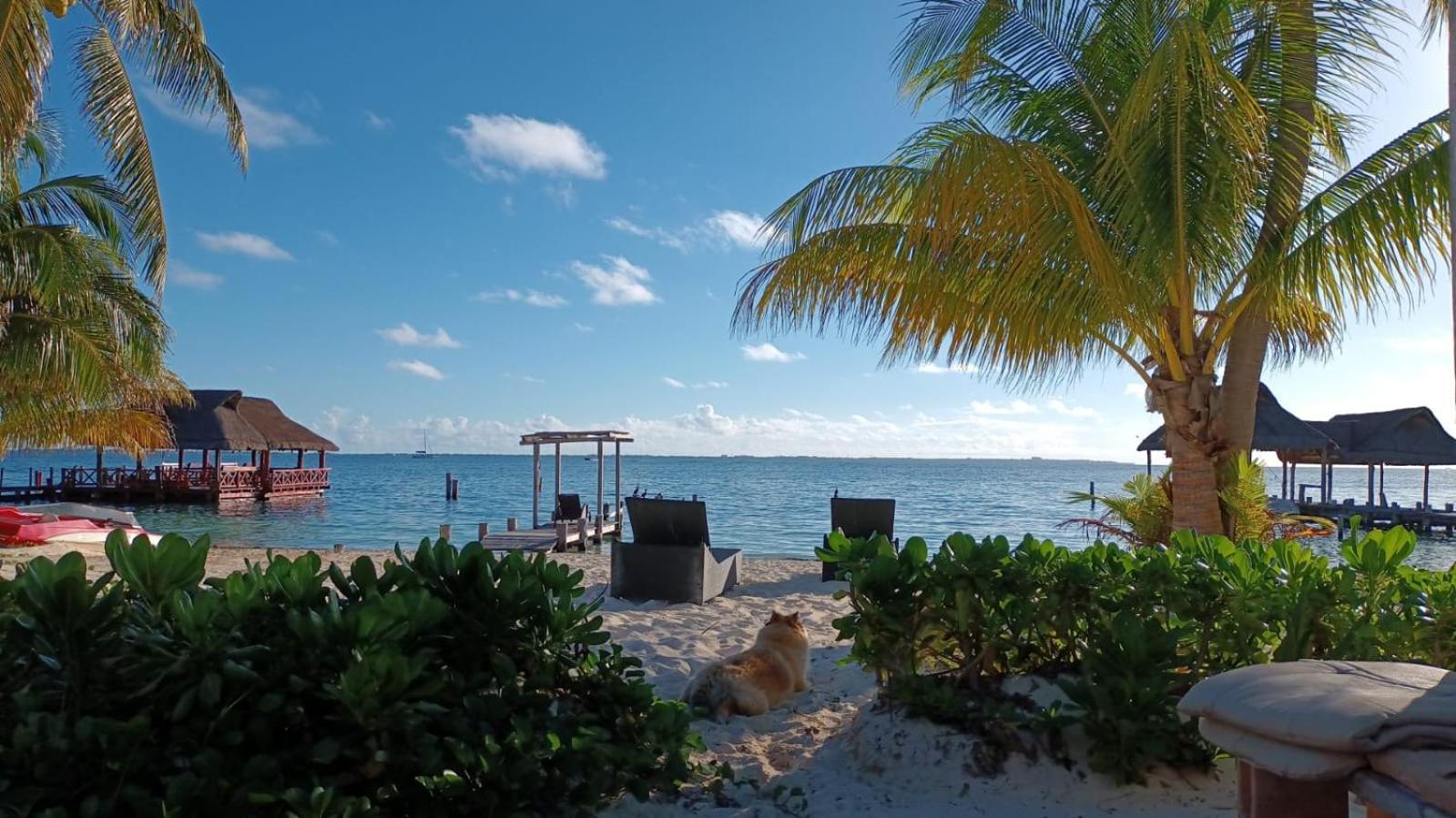 Cancun Private Apartment Kültér fotó